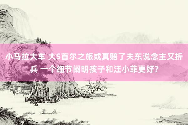 小马拉大车 大S首尔之旅或真赔了夫东说念主又折兵 一个细节阐明孩子和汪小菲更好？