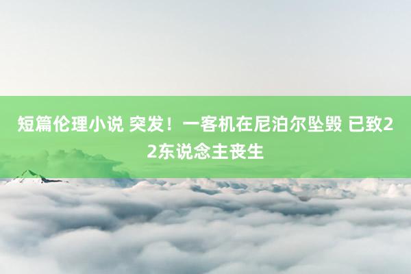 短篇伦理小说 突发！一客机在尼泊尔坠毁 已致22东说念主丧生