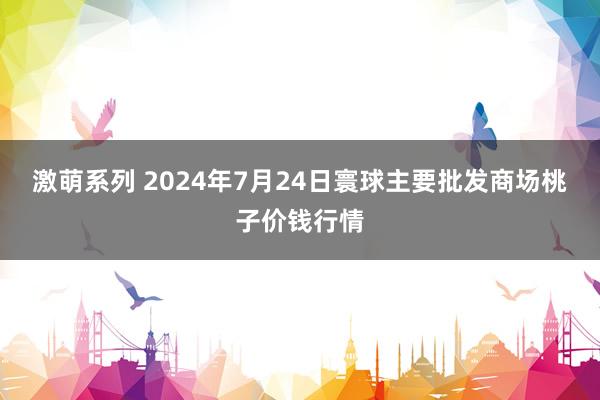 激萌系列 2024年7月24日寰球主要批发商场桃子价钱行情