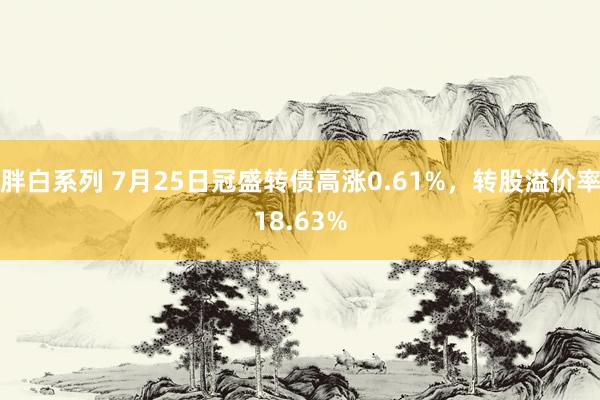 胖白系列 7月25日冠盛转债高涨0.61%，转股溢价率18.63%