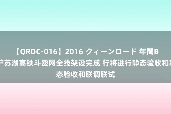 【QRDC-016】2016 クィーンロード 年間BEST10 沪苏湖高铁斗殴网全线架设完成 行将进行静态验收和联调联试