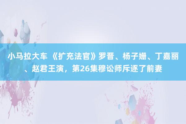 小马拉大车 《扩充法官》罗晋、杨子姗、丁嘉丽、赵君王演，第26集穆讼师斥逐了前妻