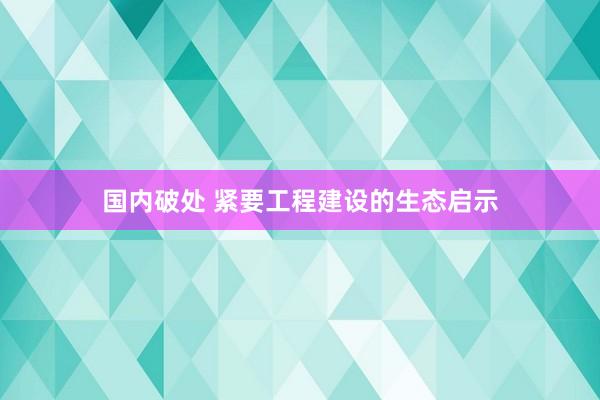 国内破处 紧要工程建设的生态启示