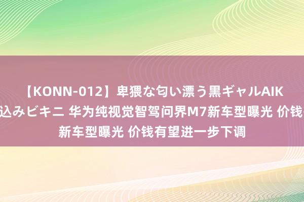 【KONN-012】卑猥な匂い漂う黒ギャルAIKAの中出しグイ込みビキニ 华为纯视觉智驾问界M7新车型曝光 价钱有望进一步下调