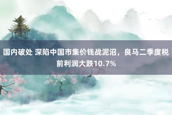 国内破处 深陷中国市集价钱战泥沼，良马二季度税前利润大跌10.7%