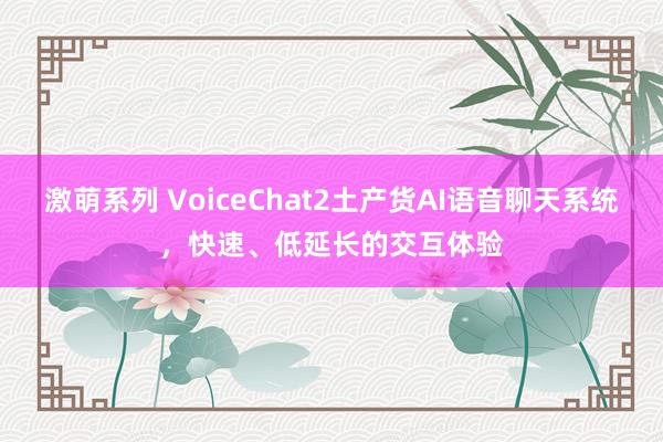 激萌系列 VoiceChat2土产货AI语音聊天系统，快速、低延长的交互体验