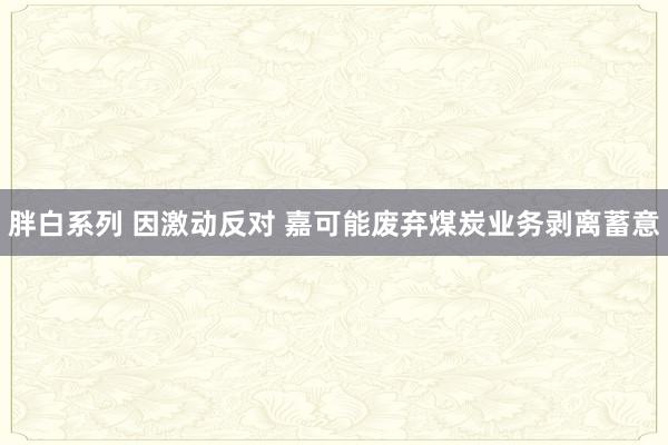 胖白系列 因激动反对 嘉可能废弃煤炭业务剥离蓄意