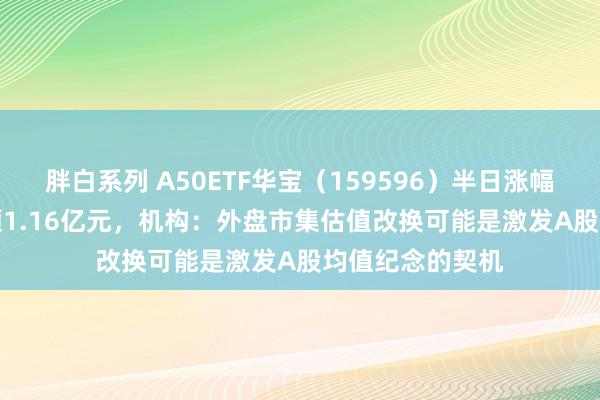 胖白系列 A50ETF华宝（159596）半日涨幅0.21%，成交额1.16亿元，机构：外盘市集估值改换可能是激发A股均值纪念的契机