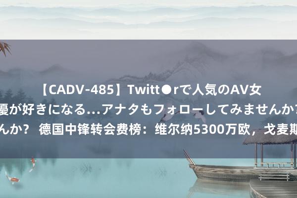 【CADV-485】Twitt●rで人気のAV女優 SNSでますますAV女優が好きになる…アナタもフォローしてみませんか？ 德国中锋转会费榜：维尔纳5300万欧，戈麦斯、大菲尔、翁达夫前四