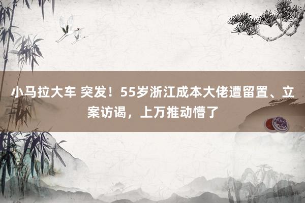 小马拉大车 突发！55岁浙江成本大佬遭留置、立案访谒，上万推动懵了