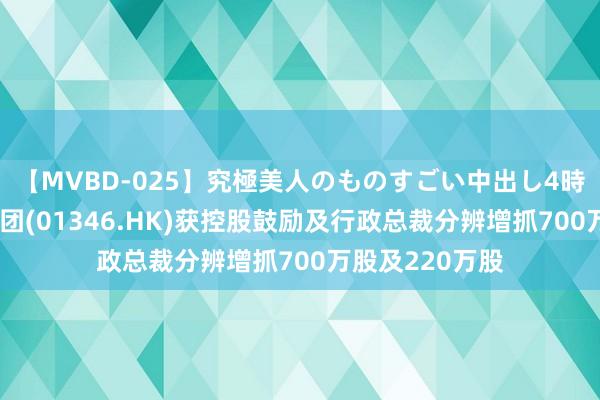 【MVBD-025】究極美人のものすごい中出し4時間 利华控股集团(01346.HK)获控股鼓励及行政总裁分辨增抓700万股及220万股