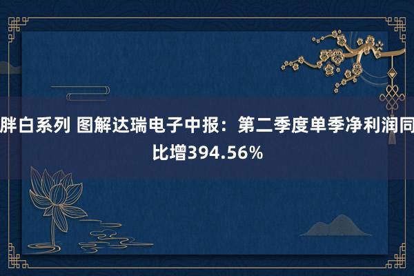 胖白系列 图解达瑞电子中报：第二季度单季净利润同比增394.56%