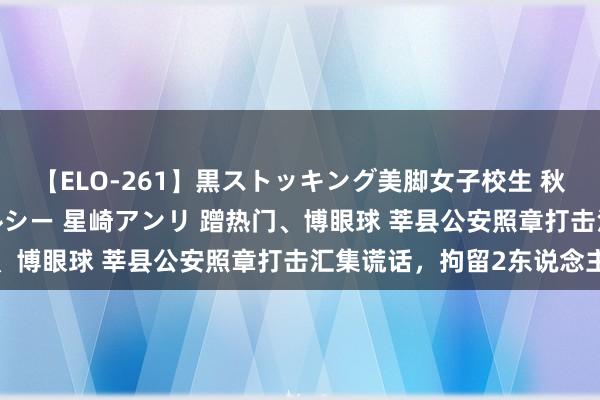 【ELO-261】黒ストッキング美脚女子校生 秋本レオナ さくら チェルシー 星崎アンリ 蹭热门、博眼球 莘县公安照章打击汇集谎话，拘留2东说念主