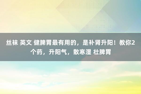 丝袜 英文 健脾胃最有用的，是补肾升阳！教你2个药，升阳气，散寒湿 壮脾胃