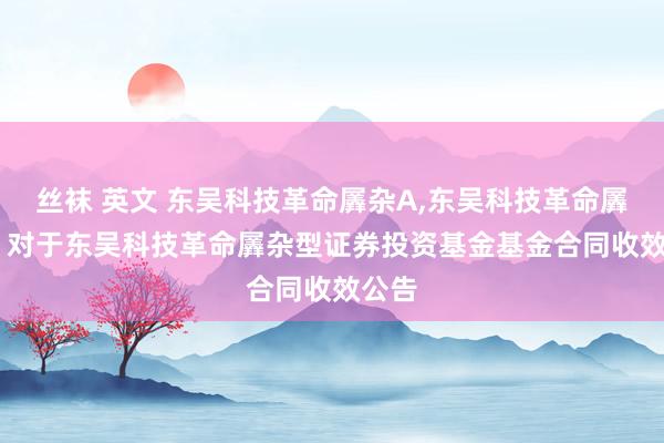 丝袜 英文 东吴科技革命羼杂A,东吴科技革命羼杂C: 对于东吴科技革命羼杂型证券投资基金基金合同收效公告