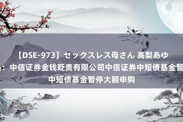 【DSE-973】セックスレス母さん 高梨あゆみ 公告速递：中信证券金钱贬责有限公司中信证券中短债基金暂停大额申购