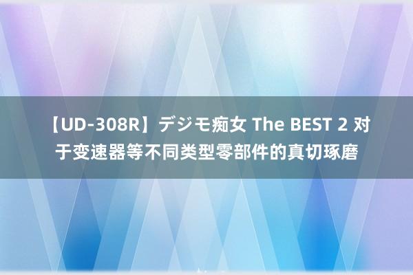 【UD-308R】デジモ痴女 The BEST 2 对于变速器等不同类型零部件的真切琢磨