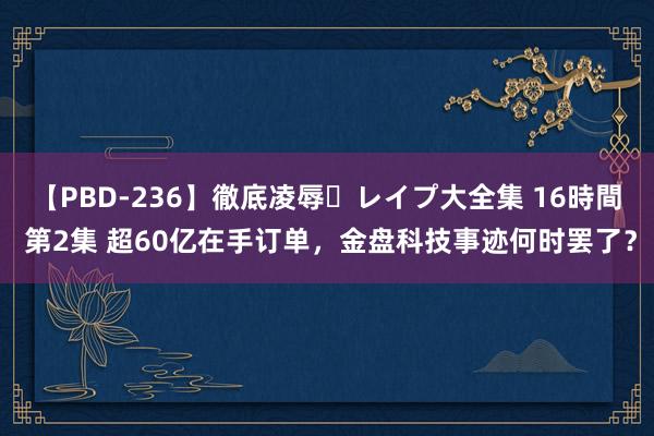 【PBD-236】徹底凌辱・レイプ大全集 16時間 第2集 超60亿在手订单，金盘科技事迹何时罢了？