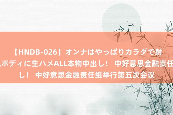 【HNDB-026】オンナはやっぱりカラダで射精する 厳選美巨乳ボディに生ハメALL本物中出し！ 中好意思金融责任组举行第五次会议