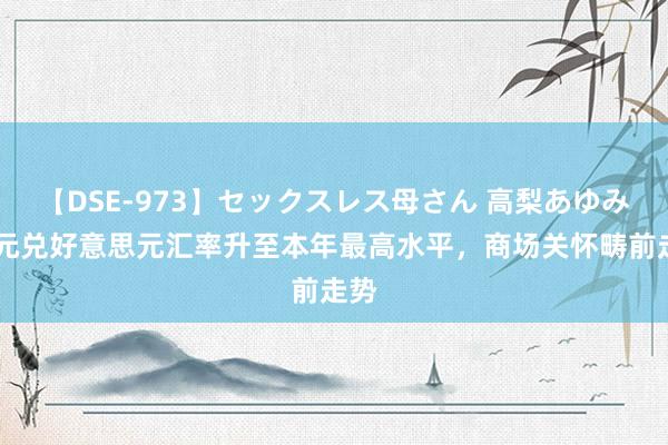 【DSE-973】セックスレス母さん 高梨あゆみ 欧元兑好意思元汇率升至本年最高水平，商场关怀畴前走势