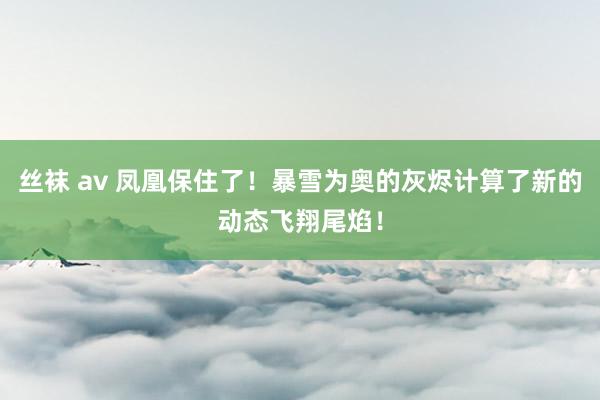 丝袜 av 凤凰保住了！暴雪为奥的灰烬计算了新的动态飞翔尾焰！