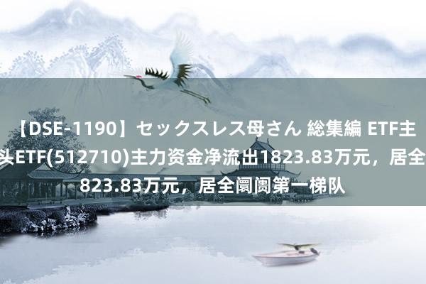 【DSE-1190】セックスレス母さん 総集編 ETF主力榜 | 军工龙头ETF(512710)主力资金净流出1823.83万元，居全阛阓第一梯队