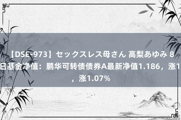 【DSE-973】セックスレス母さん 高梨あゆみ 8月26日基金净值：鹏华可转债债券A最新净值1.186，涨1.07%