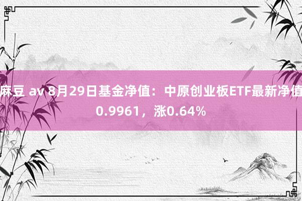 麻豆 av 8月29日基金净值：中原创业板ETF最新净值0.9961，涨0.64%