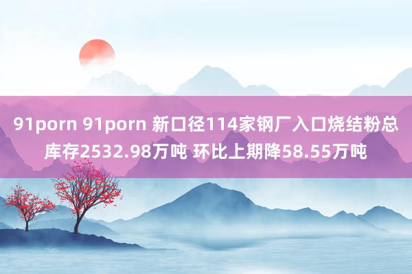 91porn 91porn 新口径114家钢厂入口烧结粉总库存2532.98万吨 环比上期降58.55万吨