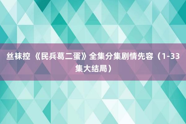 丝袜控 《民兵葛二蛋》全集分集剧情先容（1-33集大结局）