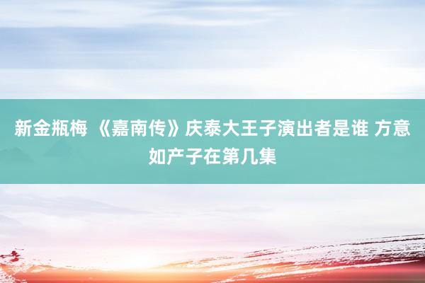 新金瓶梅 《嘉南传》庆泰大王子演出者是谁 方意如产子在第几集