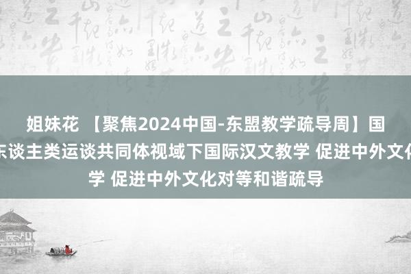 姐妹花 【聚焦2024中国-东盟教学疏导周】国内生手家共话东谈主类运谈共同体视域下国际汉文教学 促进中外文化对等和谐疏导