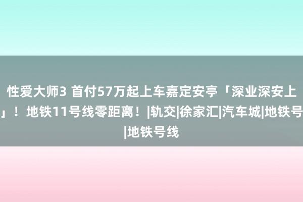 性爱大师3 首付57万起上车嘉定安亭「深业深安上居」！地铁11号线零距离！|轨交|徐家汇|汽车城|地铁号线