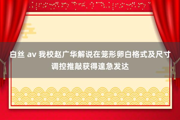 白丝 av 我校赵广华解说在笼形卵白格式及尺寸调控推敲获得遑急发达