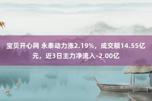 宝贝开心网 永泰动力涨2.19%，成交额14.55亿元，近3日主力净流入-2.00亿