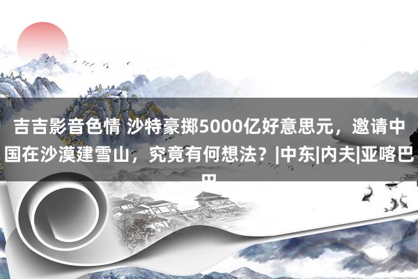 吉吉影音色情 沙特豪掷5000亿好意思元，邀请中国在沙漠建雪山，究竟有何想法？|中东|内夫|亚喀巴